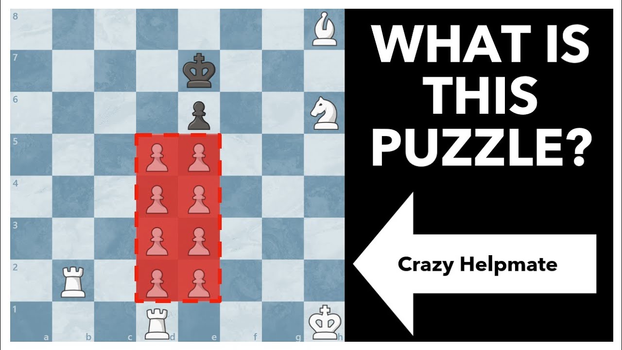 Rare Chess Puzzle! 🔥 Helpmate Chess Puzzle! 🔍