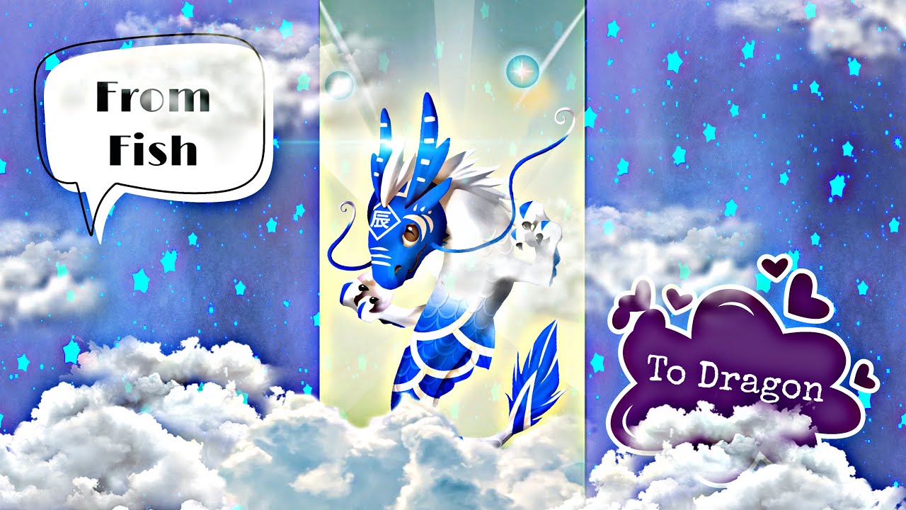 Zen Koi 2 | Shiburu Doragon #relax #satisfying #zenkoi2