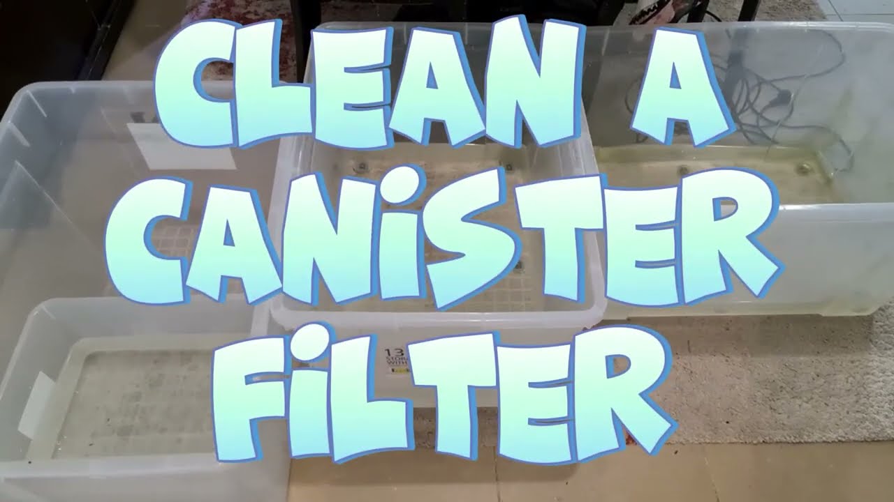 Clean Fish Tank Filter Time. BioScape Tropic