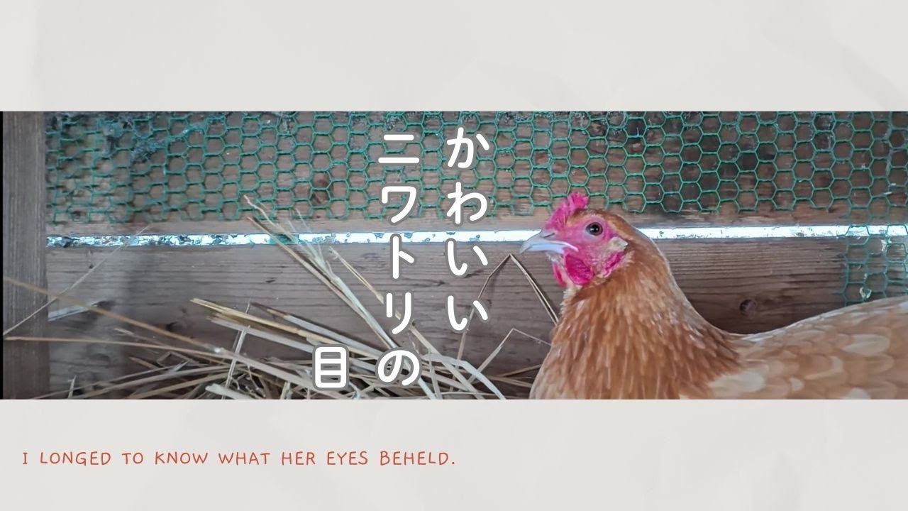 静かな時間の中で