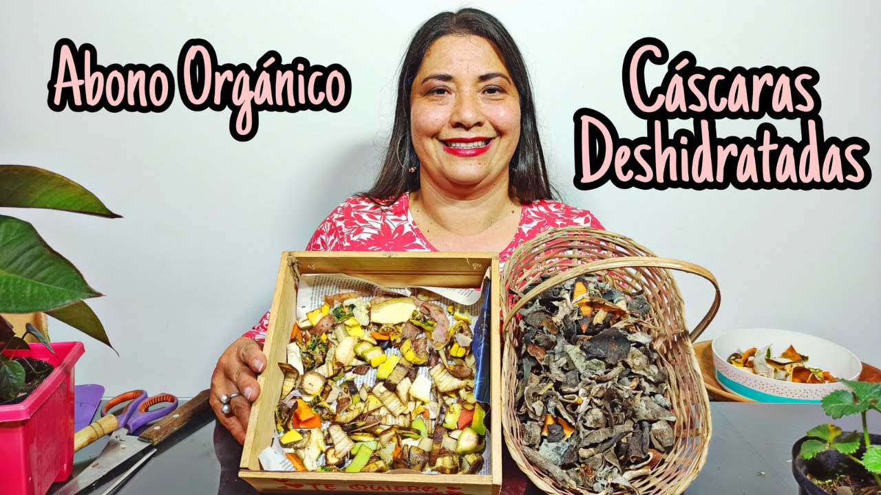 COMO PREPARAR Cascaras de Frutas DESHIDRATADAS para ABONAR PLANTAS
