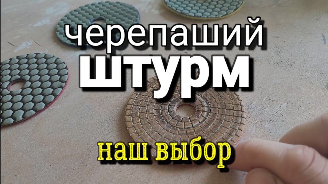 Черепаха и платформа для неё. Что выбрать?