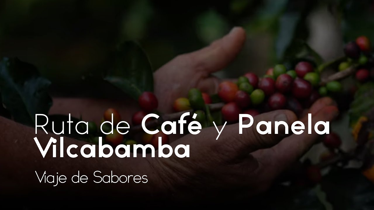 La Ruta del Café y la Panela: Un Viaje de Sabores en Vilcabamba.