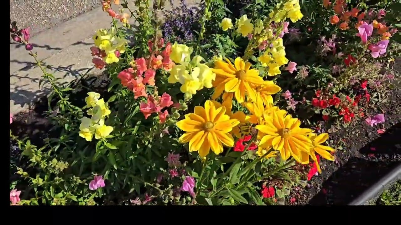 Beautiful Flowers at Government House Park, AB