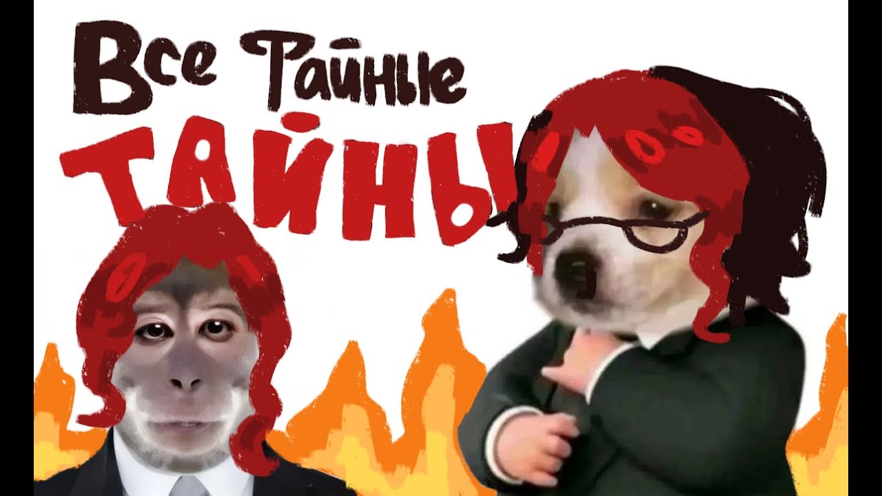 РАЗОБЛАЧЕНИЕ КАНАЛА SHARKEEANDARBUZ (SHARKEE)
