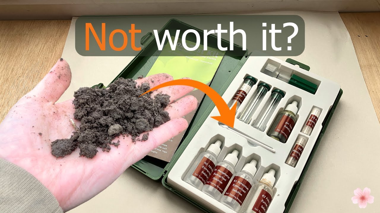 Should You Bother Testing Your Garden Soil?