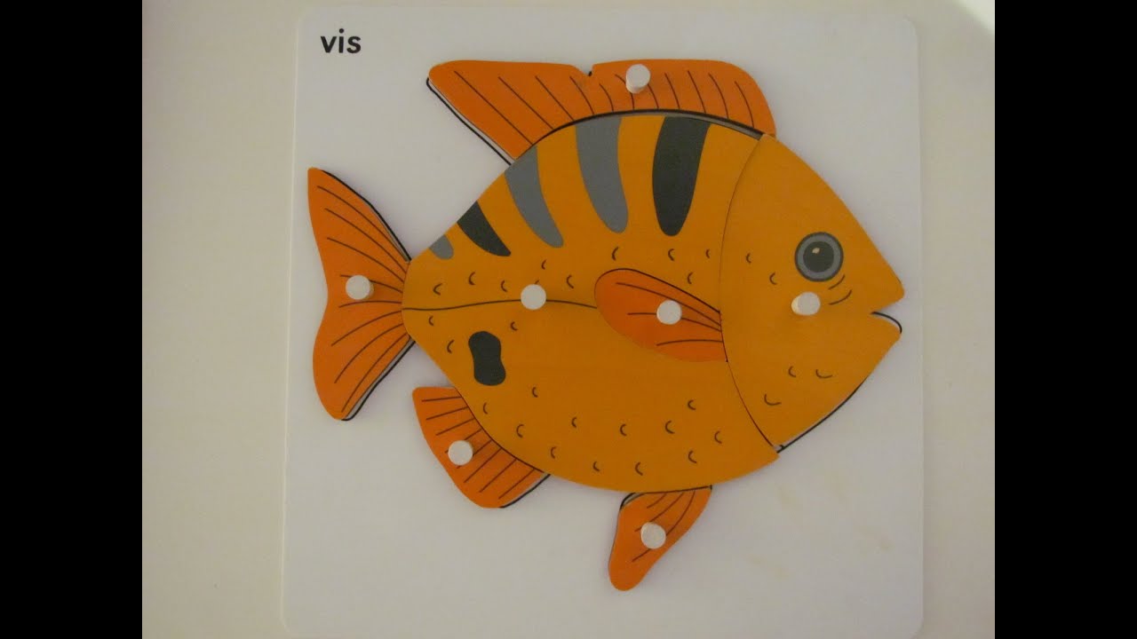 De kosmische puzzel van de vis