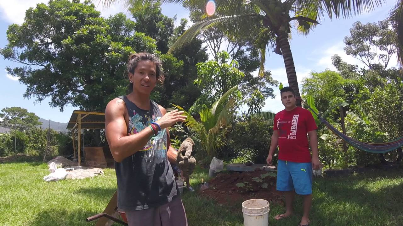 Los elementos del recubrimiento natural
