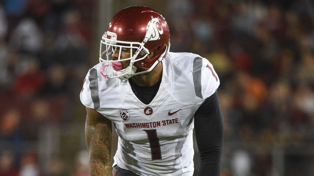 Vince Mayle Highlights || 