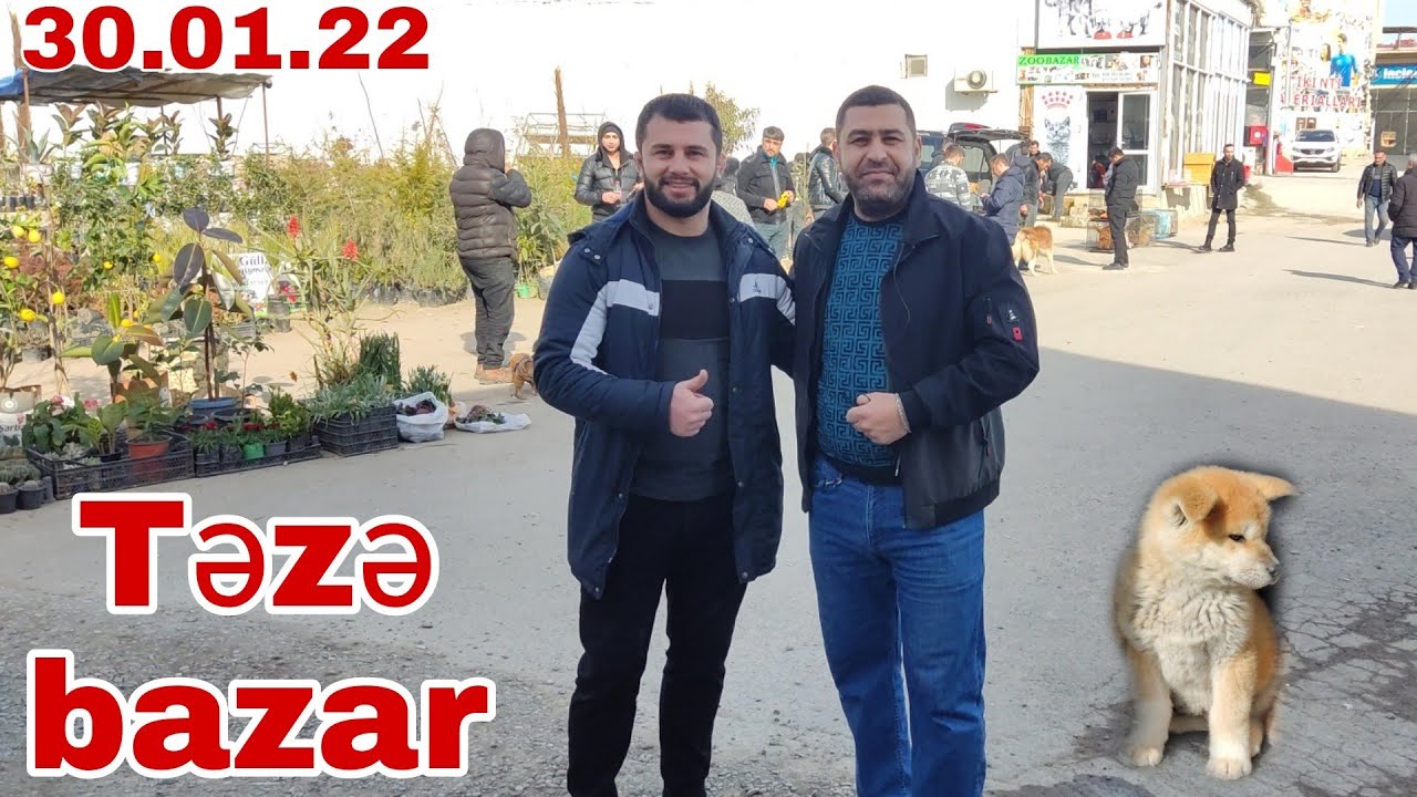 Təzə bazar itlərin quşların satışı  30 yanvar 2022 #mubarizemintv #tezebazar