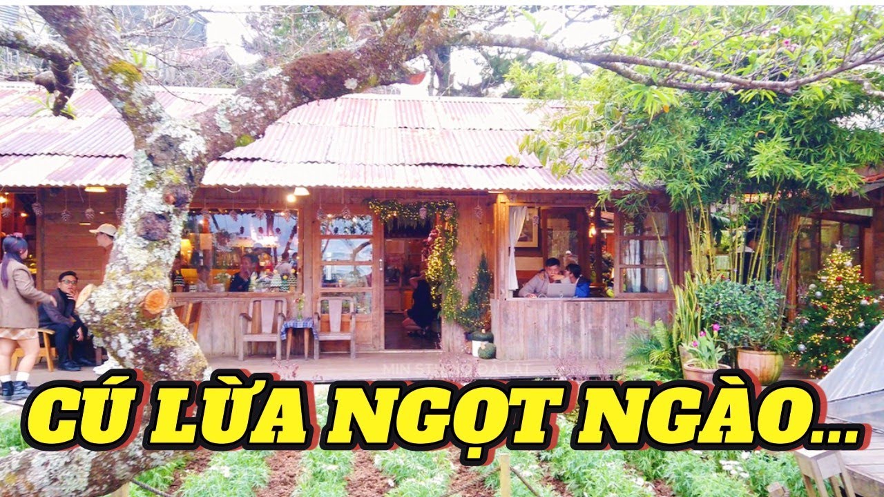 Bánh Tráng Nướng 10K – Nhà 10 Tỷ – Người Đà Lạt Sống Sao?