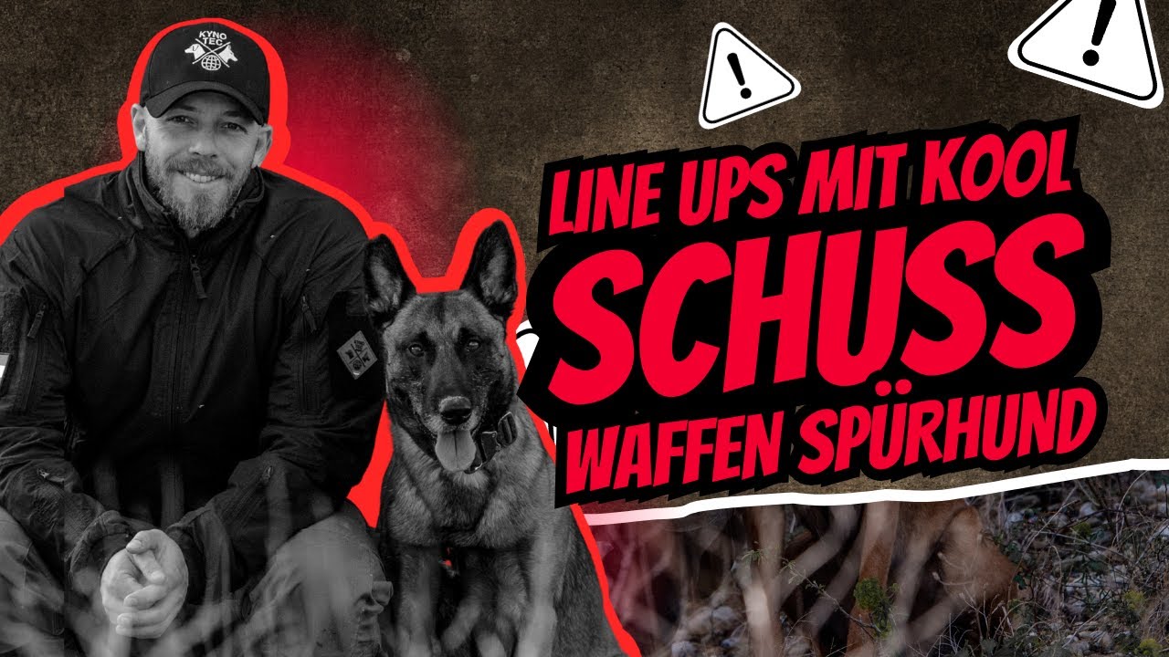 Echtes Spürhundetraining – Malinois Kool zeigt Unsicherheit - was nun?