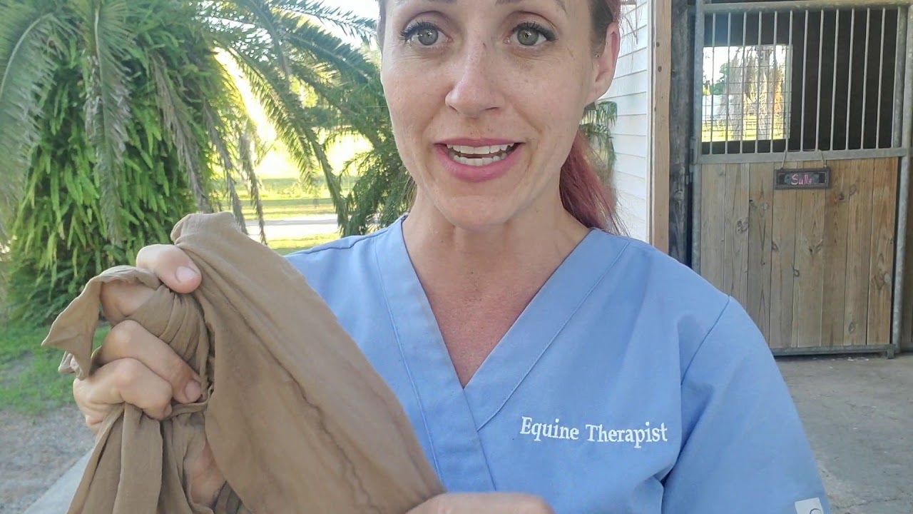 Horse summer sores! Best treatment Florida horse hygeine Stud Crud Busters sheath cleaning bean