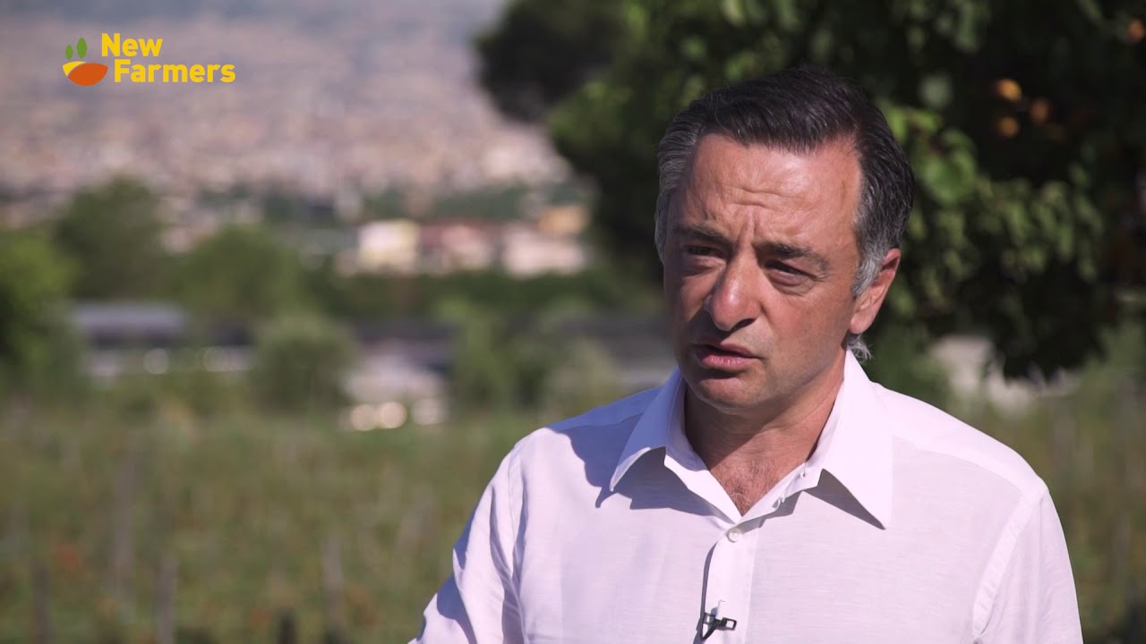 Carlo Cozzolino e la coltivazione dei pomodorini del Vesuvio