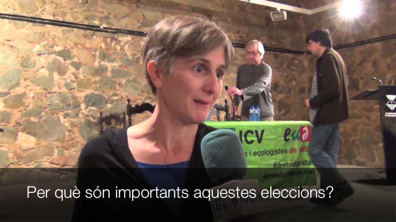 Dolors Camats en l'acte p&uacute;blic Europees 2014 per ICV