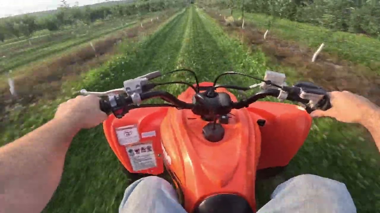 Raptor 700 vs 400ex