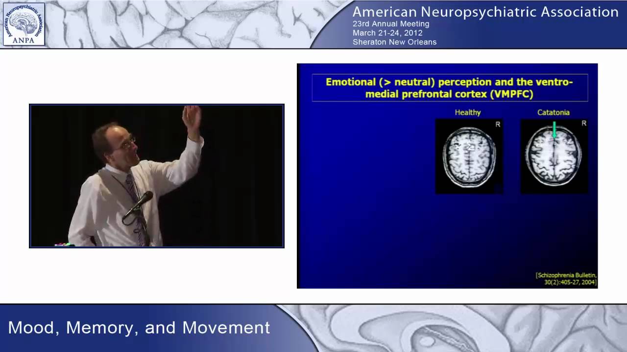 Dr. Georg Northoff talks about catatonia