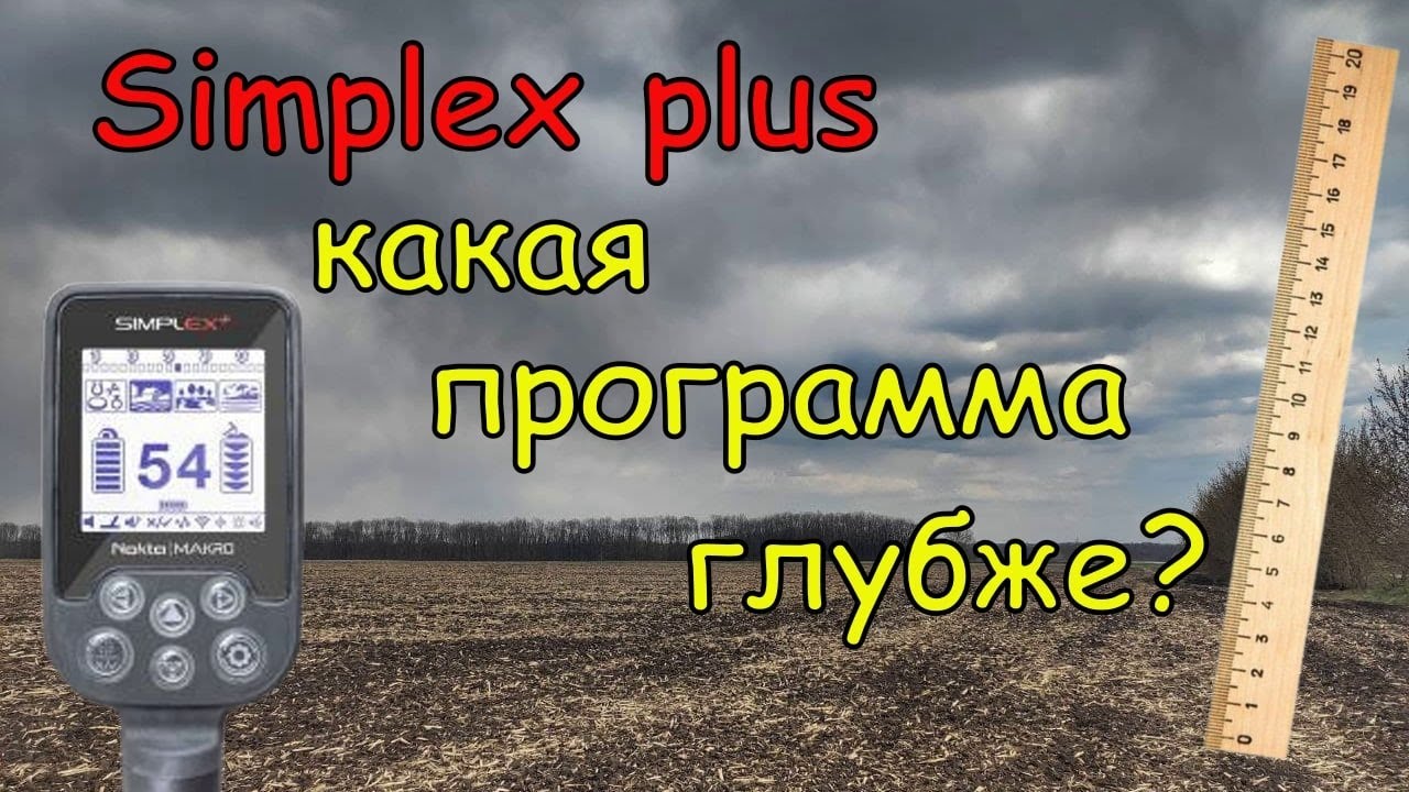 Тест Nokta Simplex. Какая программа глубже?
