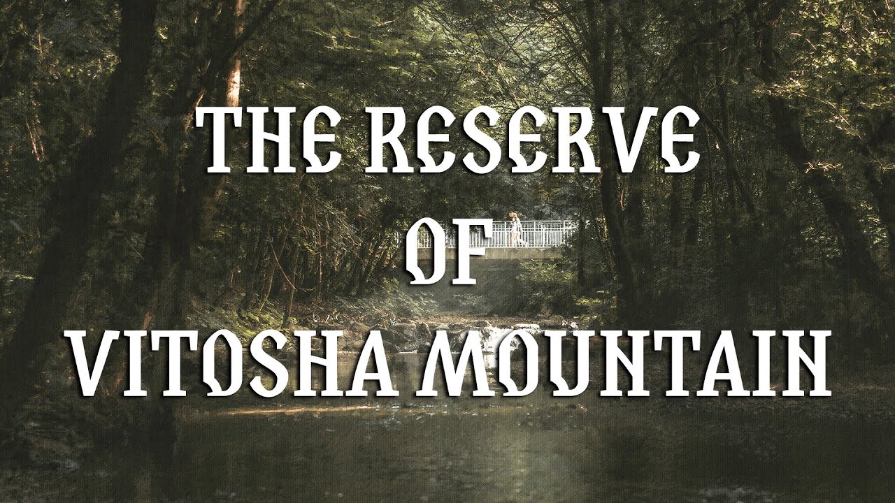 How I ventured through the reserve of Vitosha mountaion in 4K | Travel