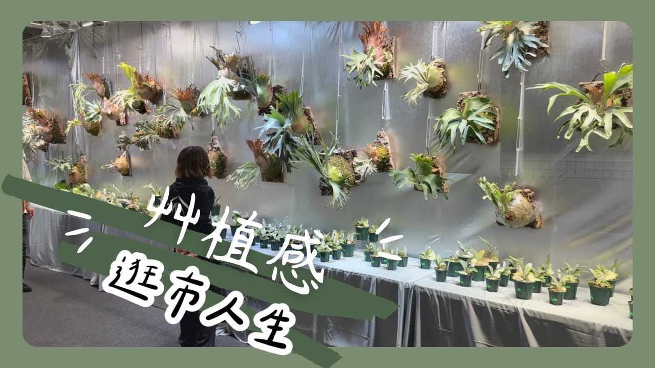 ［Taiwan Plant Market］台南歸仁｜艸植感2025｜大台南會展中心