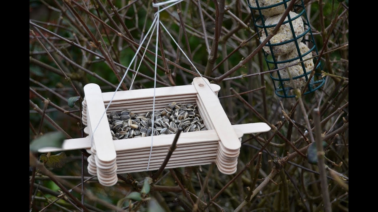 Faire un mangeoire pour oiseaux avec des bâtons de glace