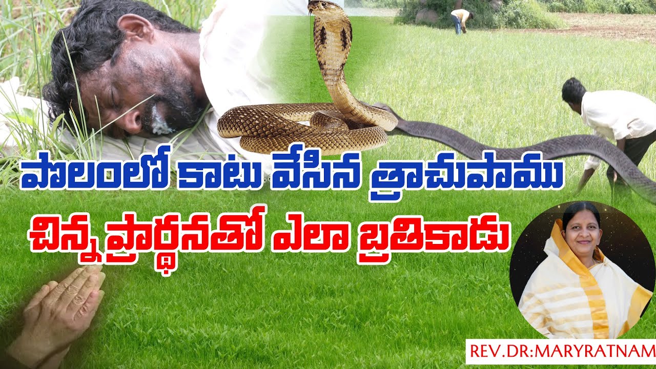 కాటువేసిన త్రాచు పాము  ||  చిన్న ప్రార్ధనతో  || విరిగిన విషం || YEHOVAH AGNI MINISTRIES || KHAMMAM