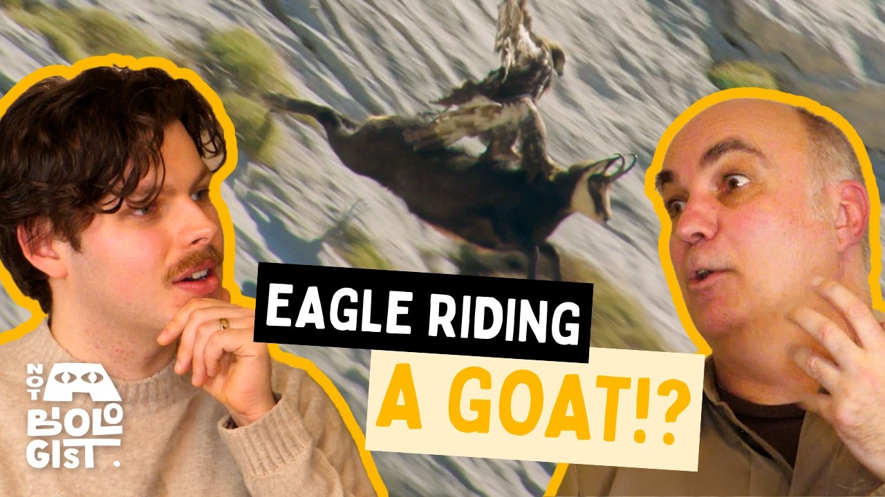The Truth Behind this Viral Eagle video | Not a Biologist | Wildlife Podcast