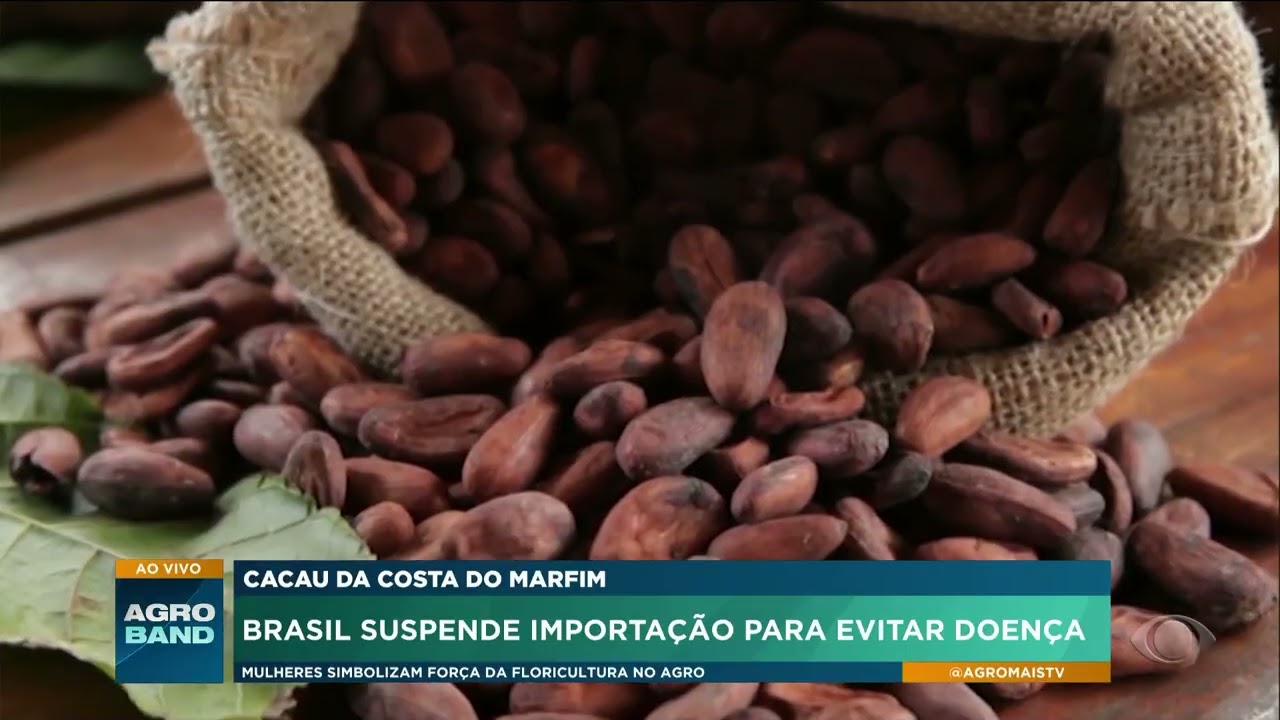 Suspensão da importação de cacau da Costa do Marfim no Brasil (Teste)