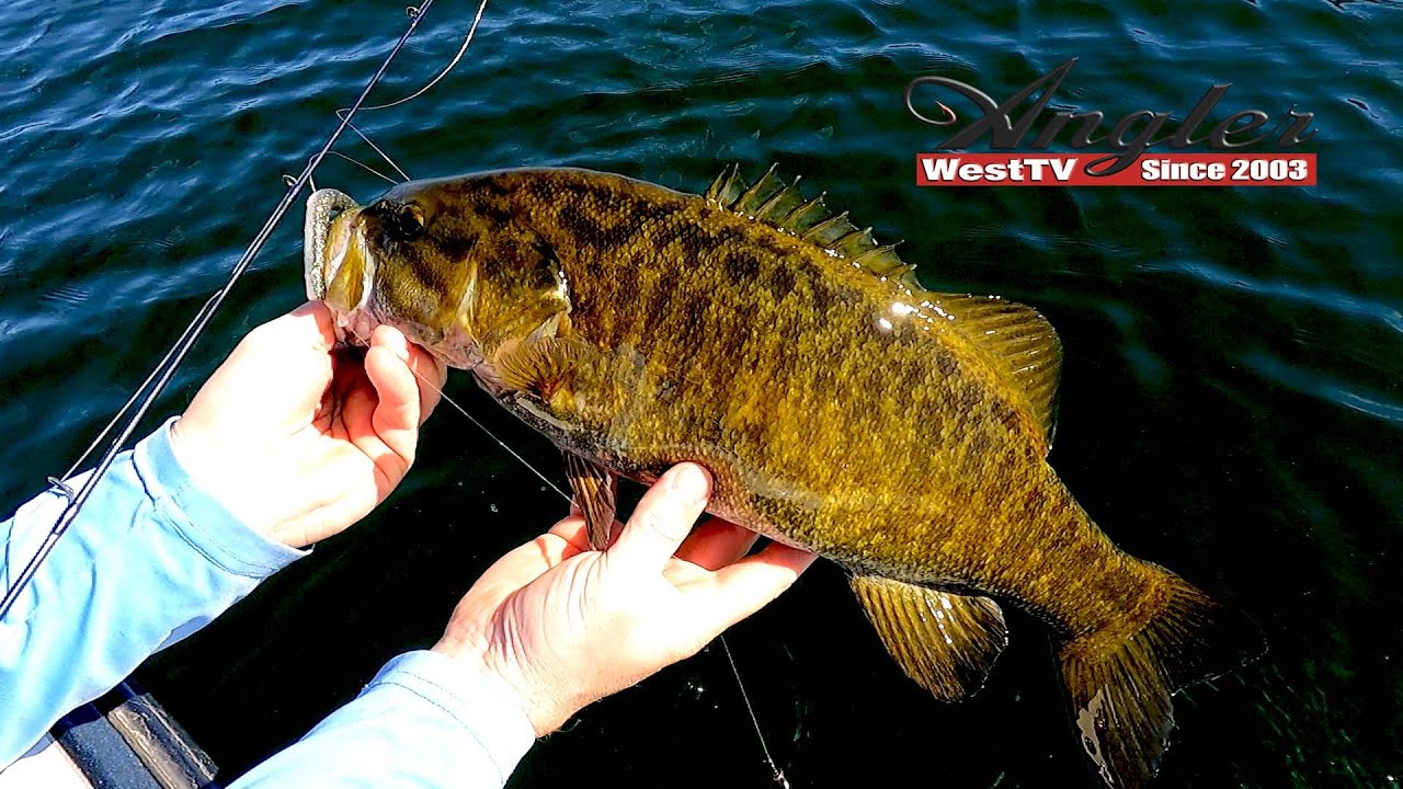 Columbia River Gorge Fall Smallmouth Bass