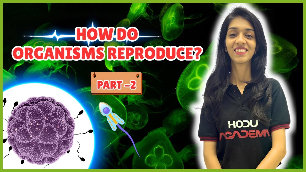 How Do Organisms Reproduce? Part 2 | Class 10 Science CBSE | Sexual Reproduction in Plants & Animals