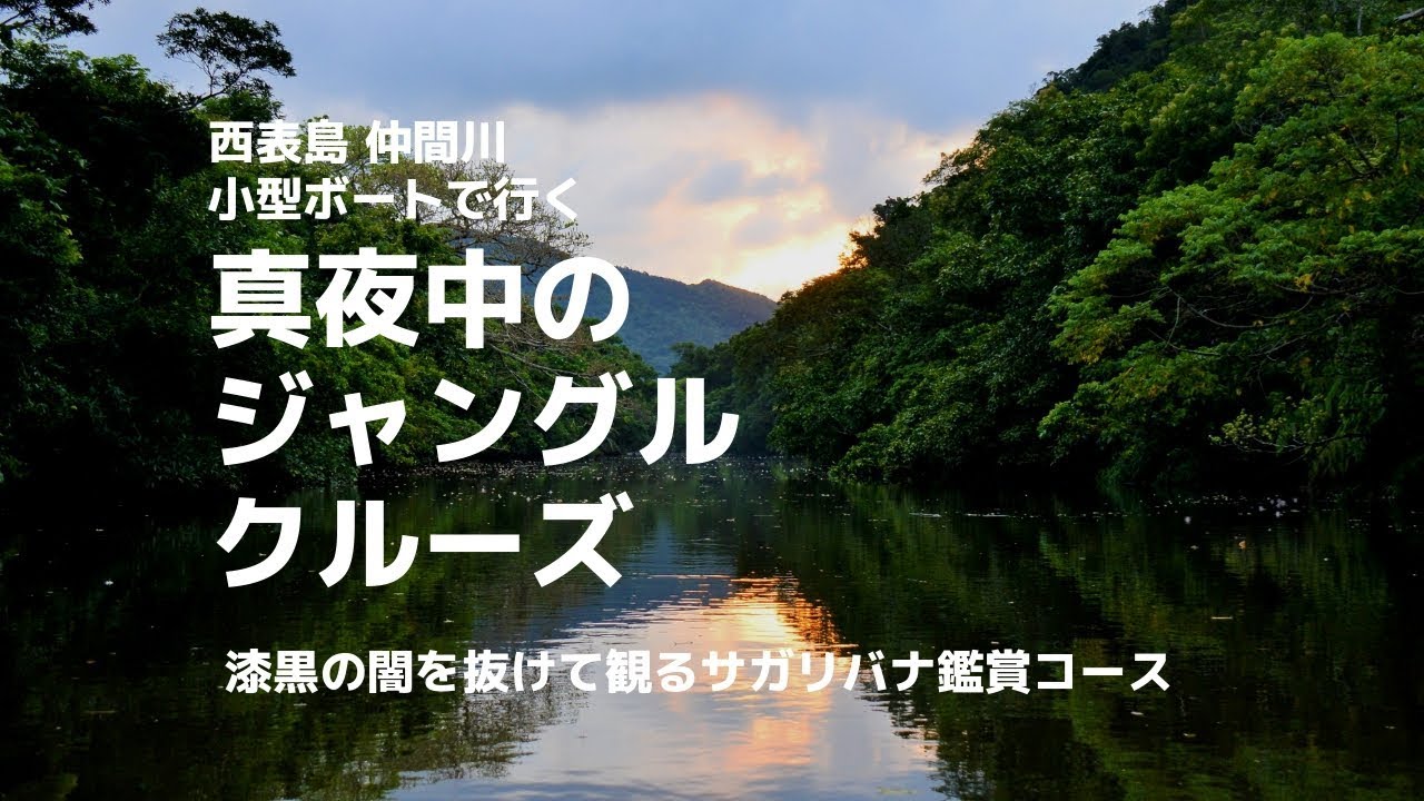 西表島 仲間川・サガリバナ鑑賞クルーズ