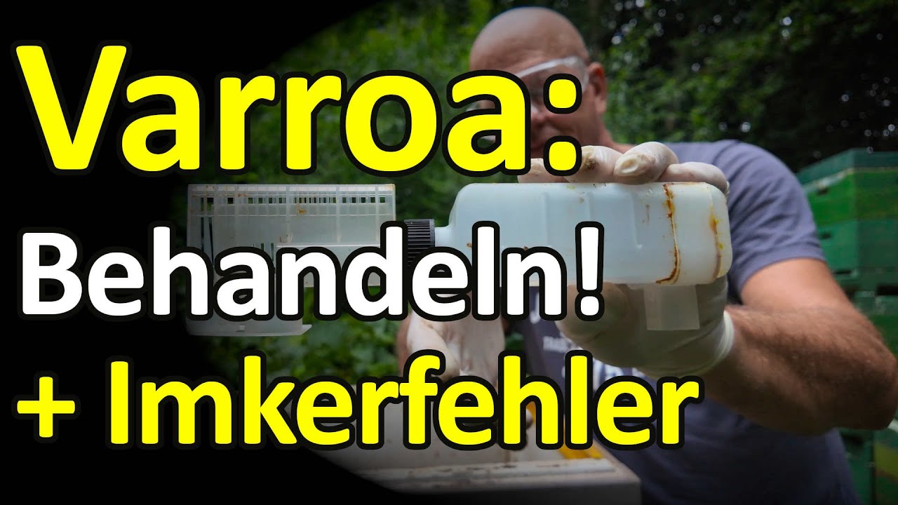 Varroabehandlung Start! Alle Völker behandeln! Ameisensäure Nassenheider  Schwammtuch Imkerfehler