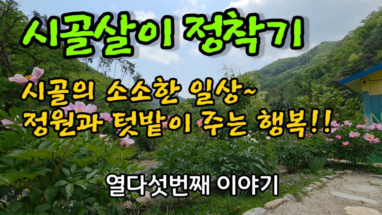 시골의 일상 ㅣ옥수수,꽃모종 심기ㅣ어미새의 알품기ㅣ야채 자급자족 ㅣ마늘쫑 수확 ㅣ장미아치 만들기