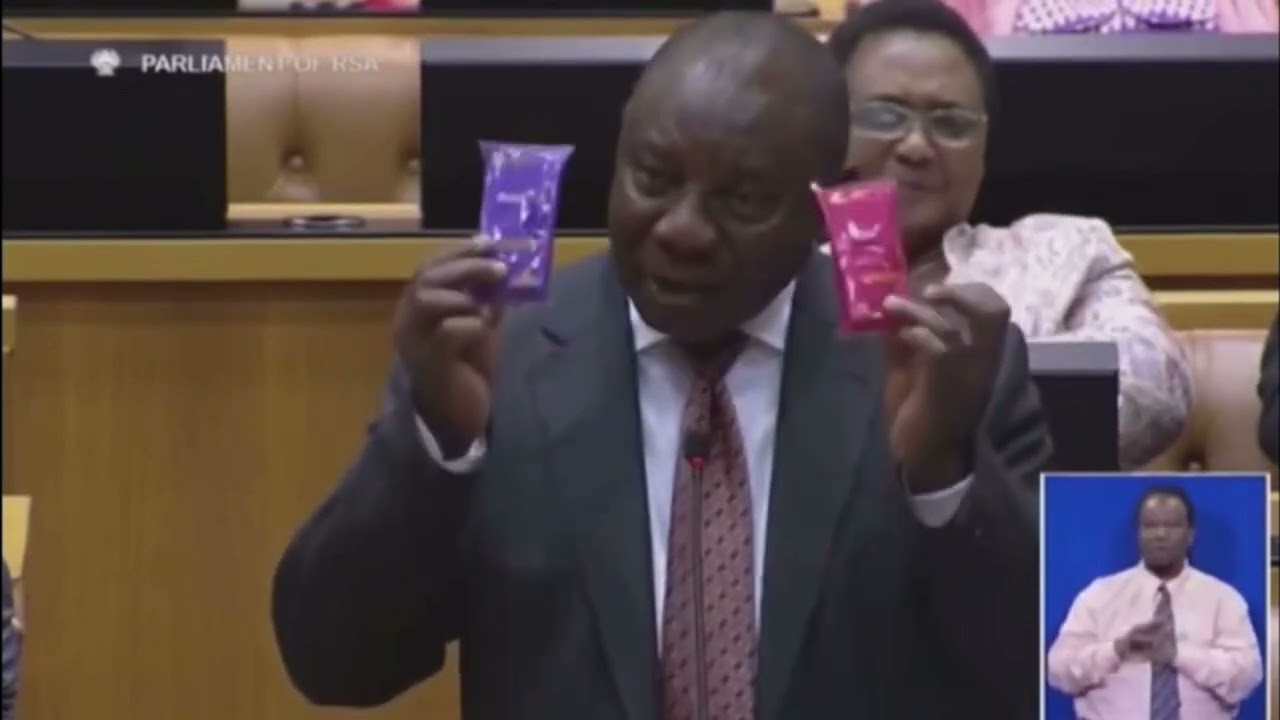 usa vs south africa politics