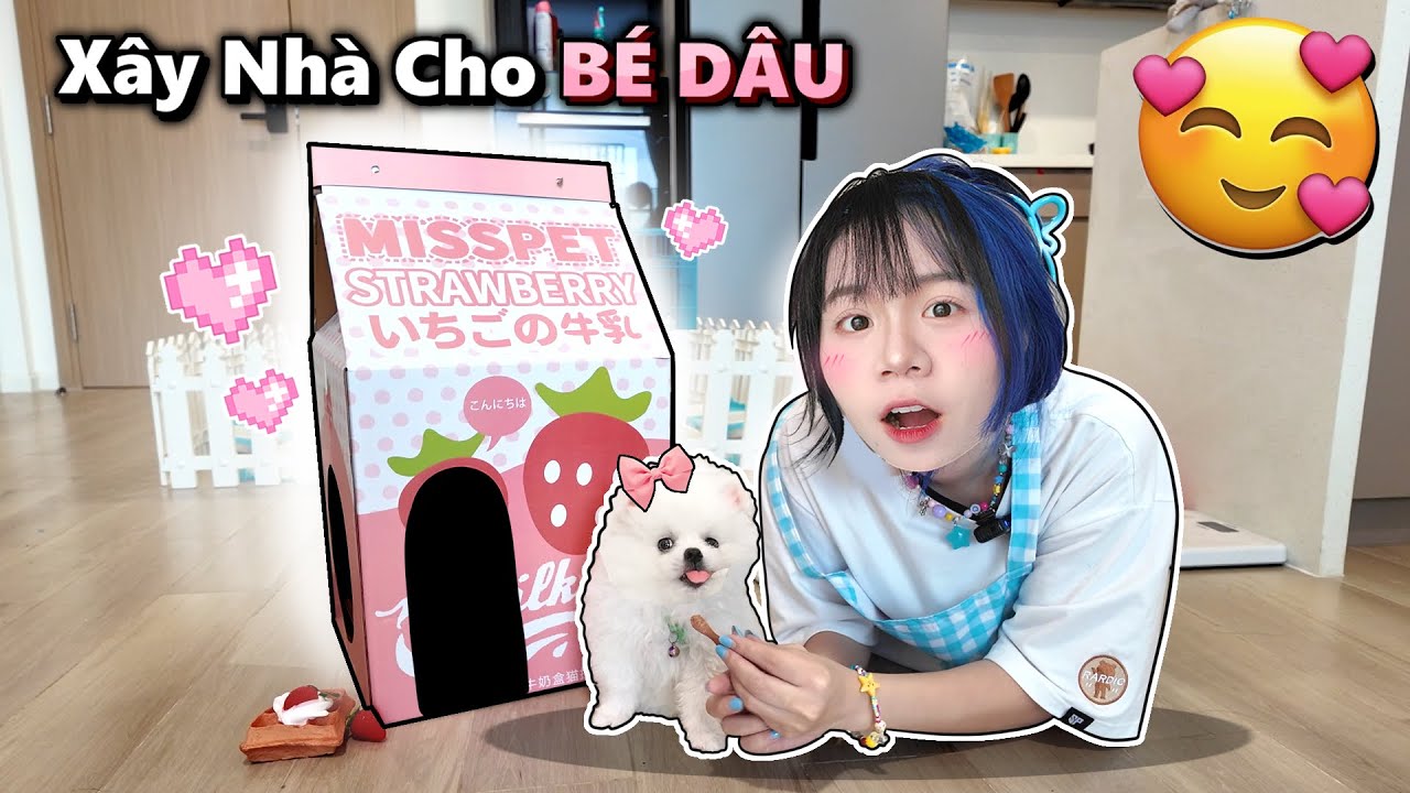 Mèo Simmy Xây Nhà Mới Cho Bé Dâu ! *Bé Dâu Báo Chị Simmy*