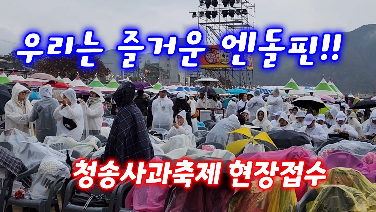 우리는 엔돌핀! 우중 청송에서 박지현 님 기다린다! 청송사과축제