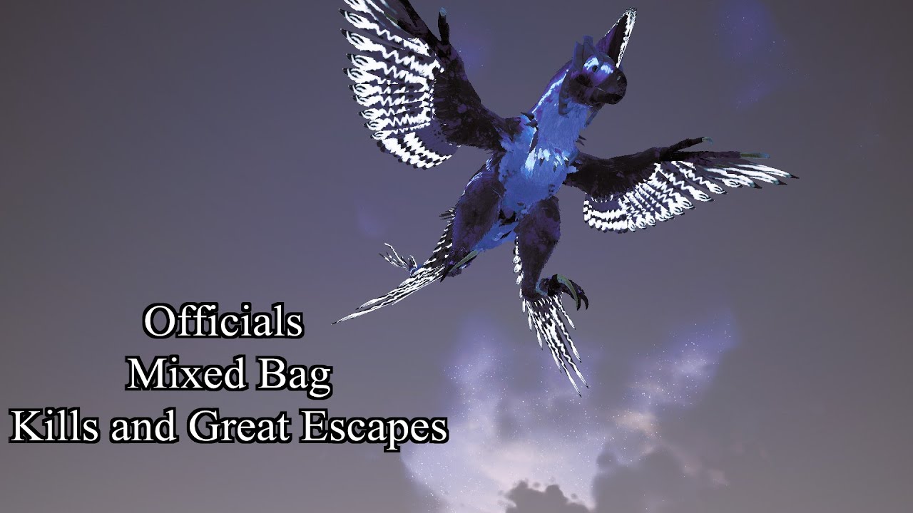 Officials Mixed Bag Clips // Beasts of Bermuda