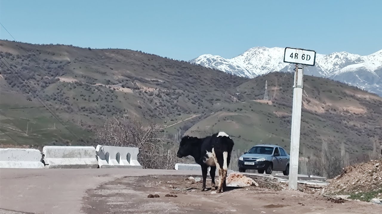 Exploring the Tian Shan mountains