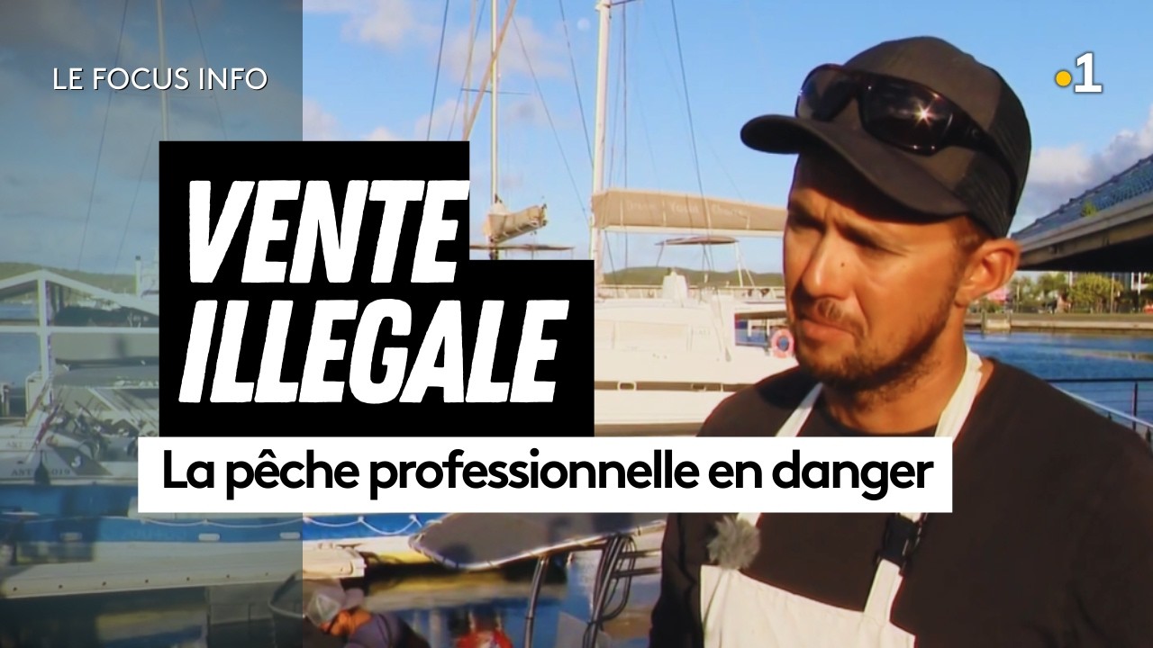 Pêche professionnelle en danger : la vente illégale de poissons menace les pêcheurs en province Sud