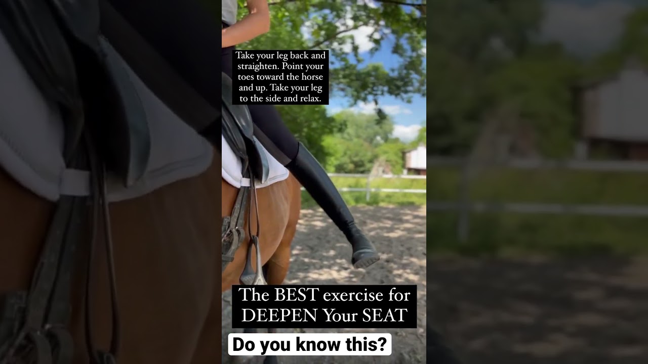 The easiest exercise for deepen your seat! If you try this, let me know what changes you see.