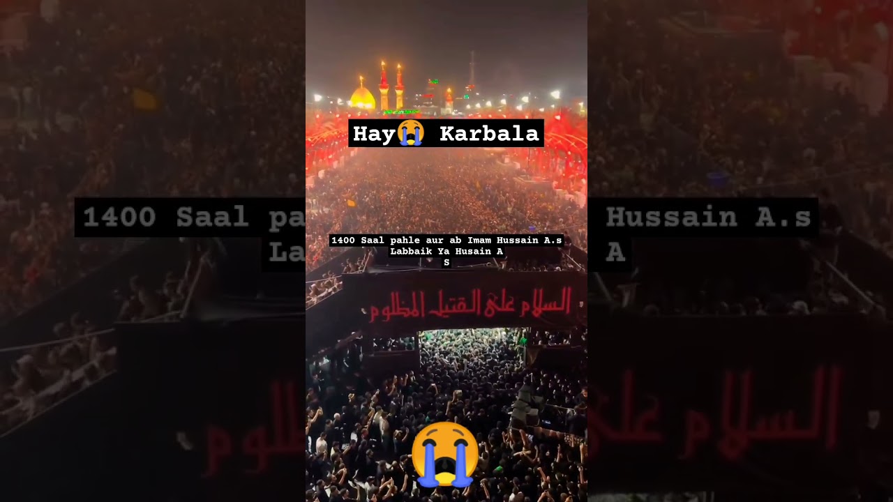 Karbala Iraq Najaf to Karbala Iraq 2024 Arbaeen 😭 #karbala #arbaeen #ali #fatima #trending