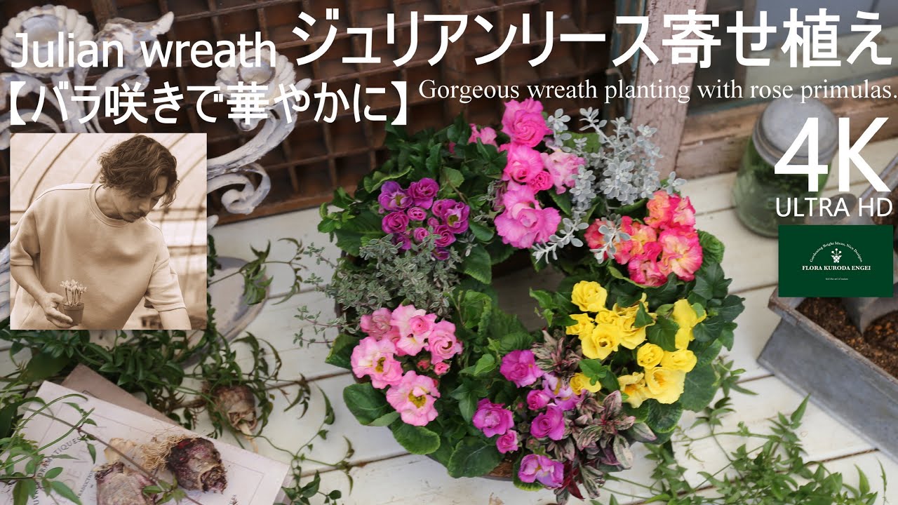プリムラ／バラ咲きジュリアンのリース寄せ植え【冬のガーデニング】-フローラ黒田園芸- mixed planting/ Winter gardening 4K ULTRA HD