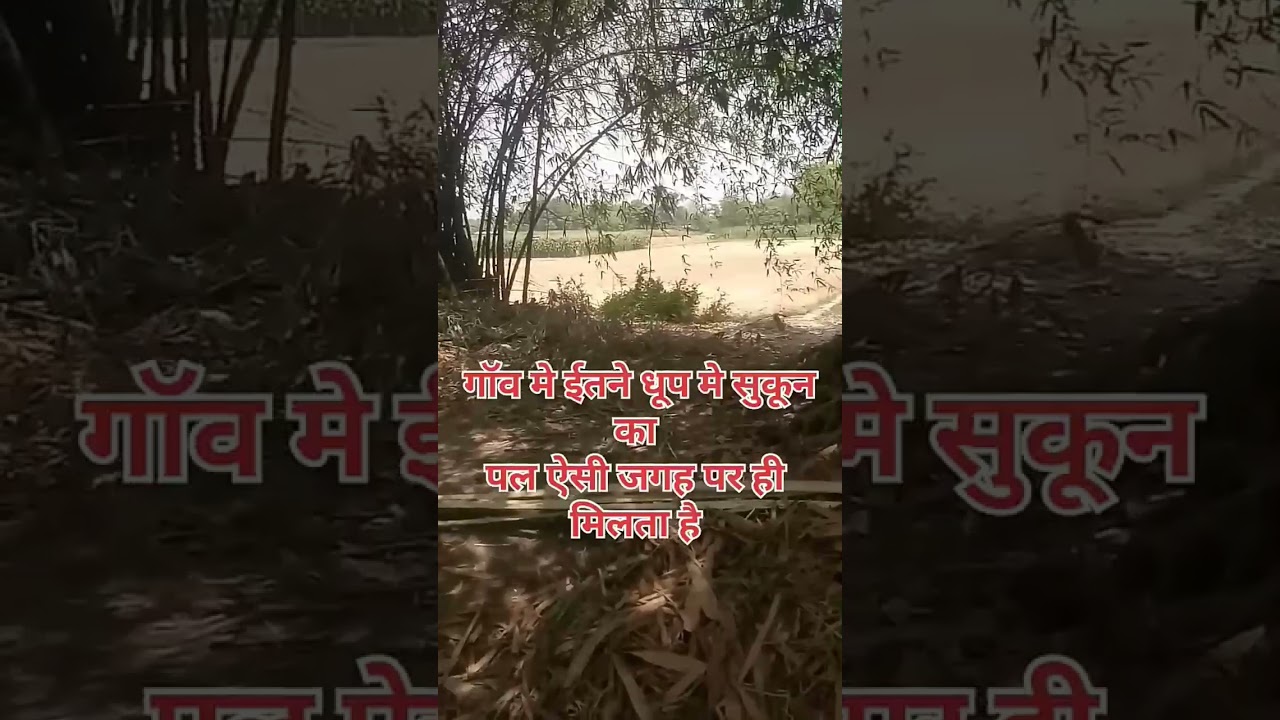गांव में सुकून का पल यही मिलता है #toodaynewsvideo #tooday #live News #funyyvideo #comeddyvideo#live