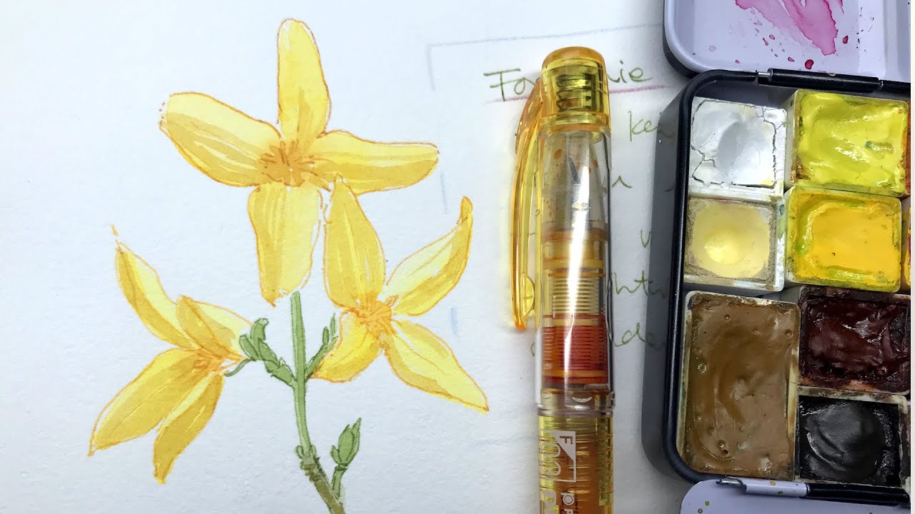 Sketching spring flowers | ink + watercolor
