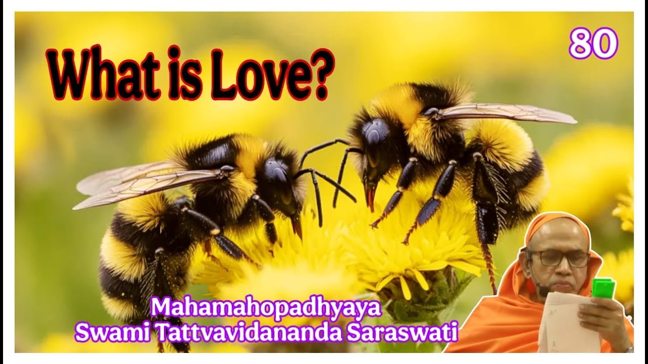 # 80 Questions with Swami Tattvavidananda Saraswati  ( in English )