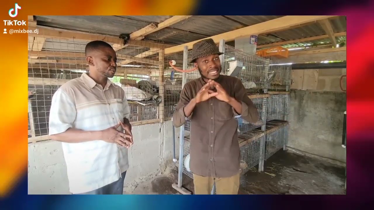 wow 😲 meet Ghanaian man who Owns the largest Rabbit farm in west Africa