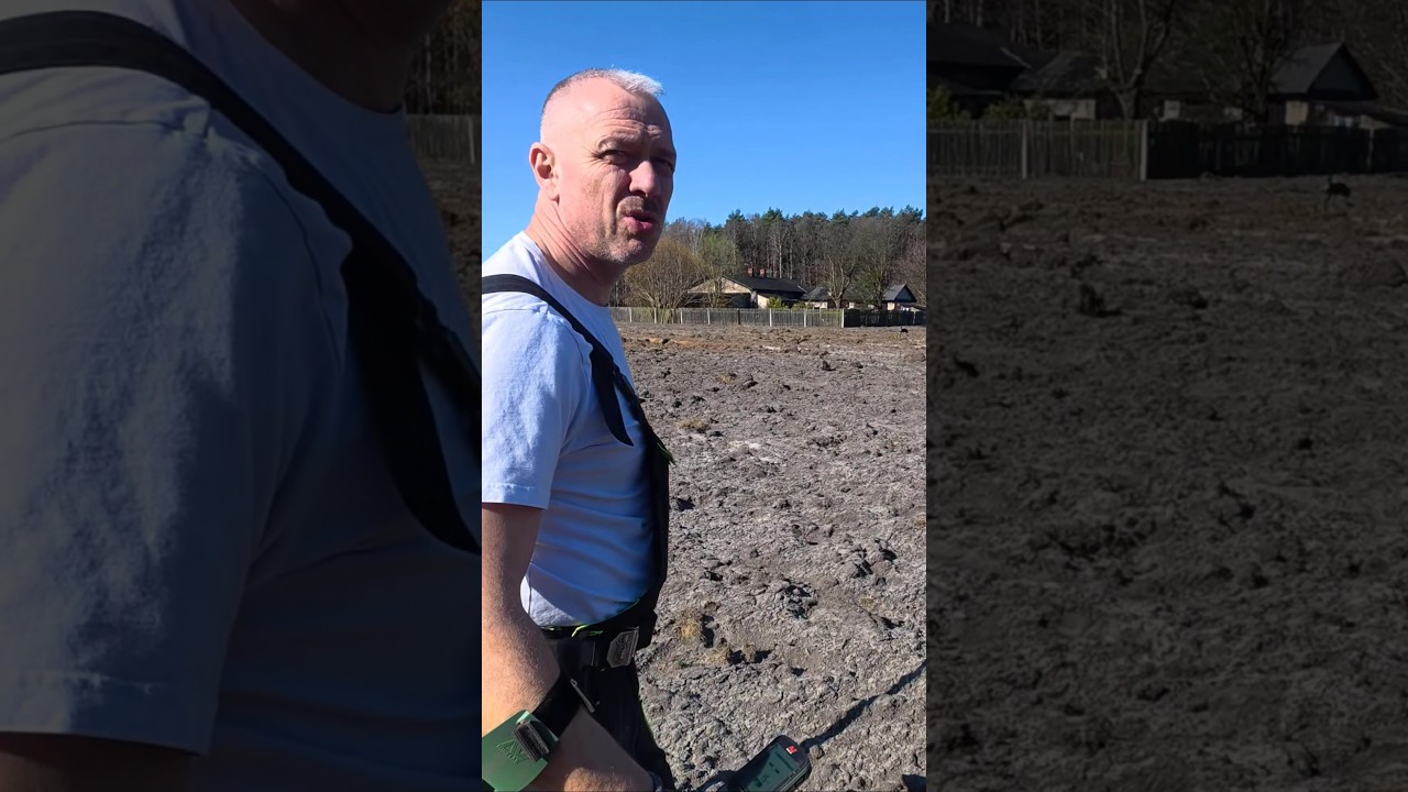 Dwa yorki atakują człowieka #metaldetecting