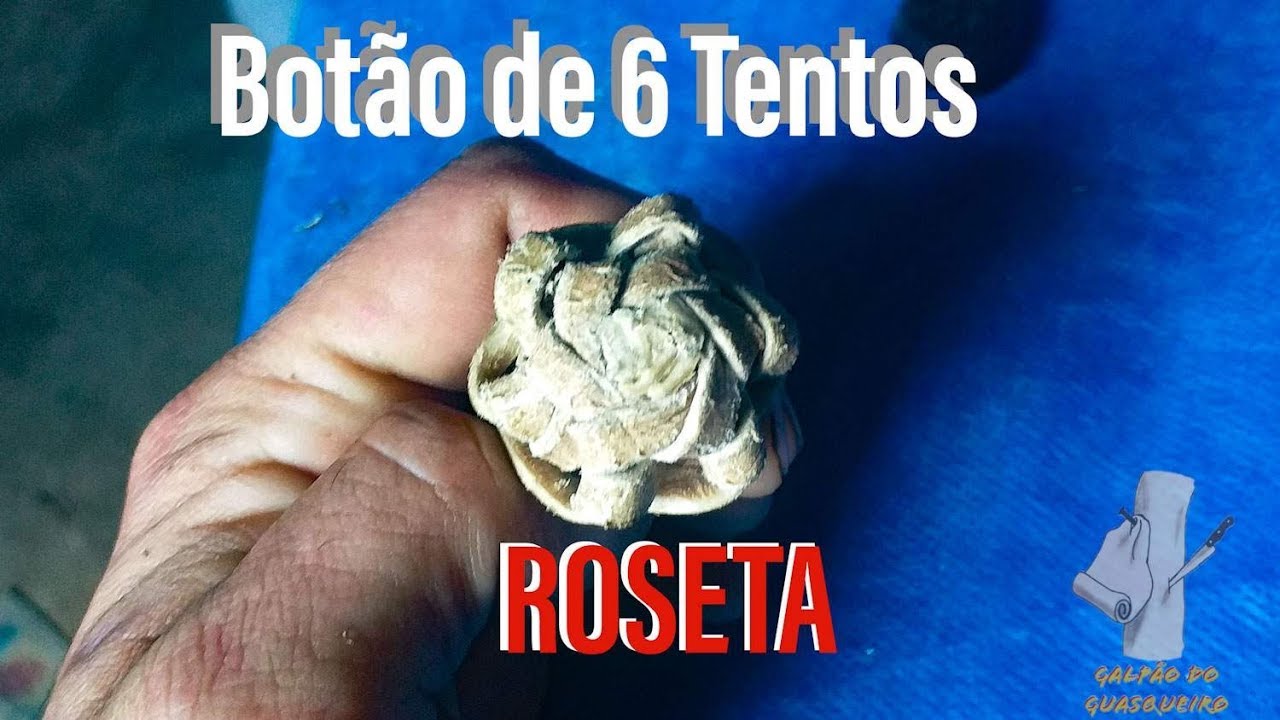 Botão de 6 Tentos- ROSETA