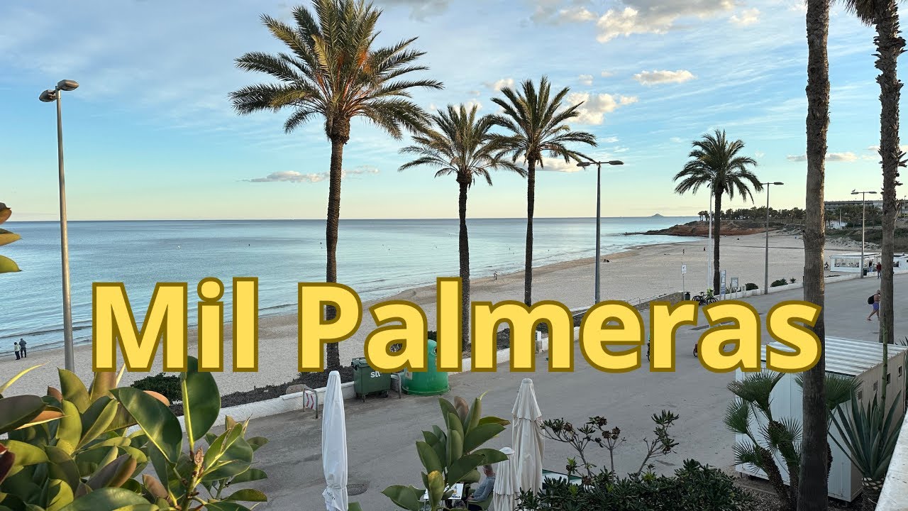 Mil Palmeras