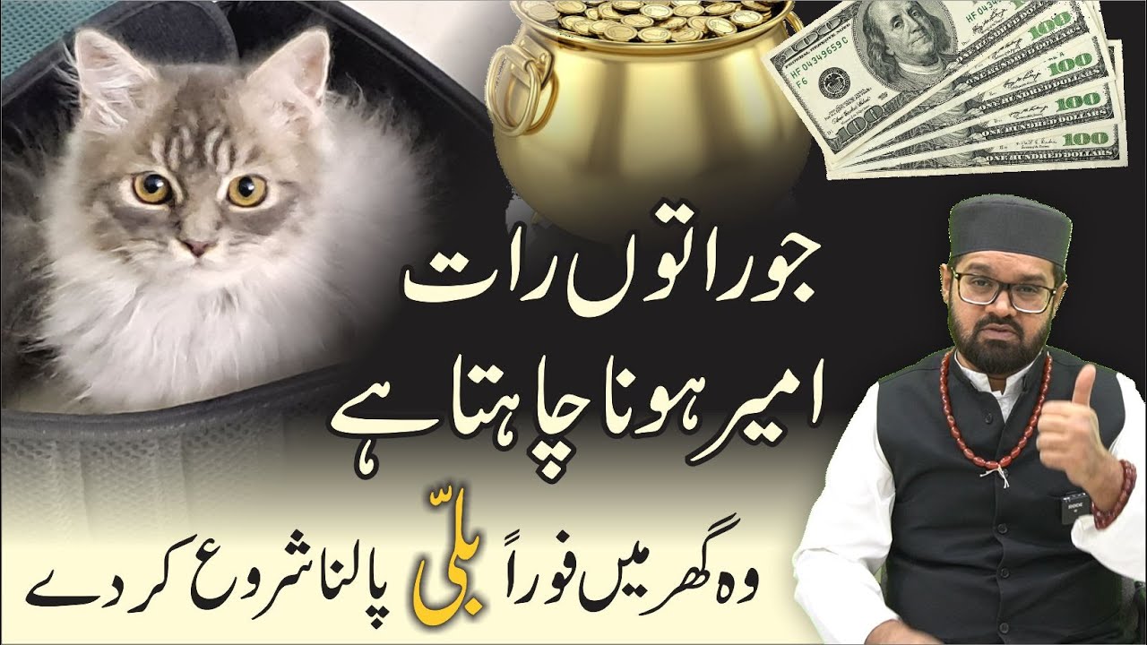 Billi Palne Se Kya Milta Hai | @RoshniCentre| Dr. Fahad Artani Roshniwala | Roshni Centre